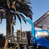Negocio Asdrúbal Transportes & Jardineria