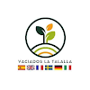 Vaciados La Talalla Mallorca